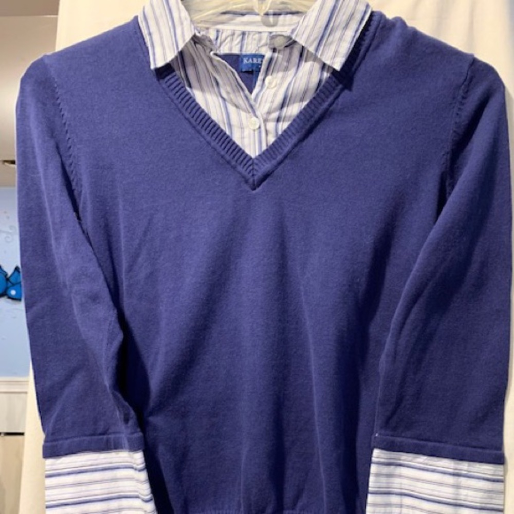 Karen Scott Purple V-Neck W/Mock Collar & SleevePM